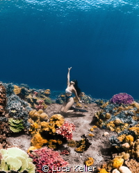 Reef Dream Worlds by Luca Keller 